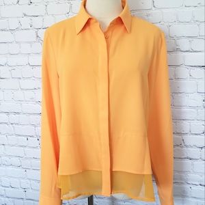 DKNY Chiffon Long Sleeve Button Down Blouse—NWT—S